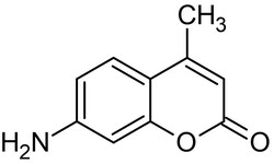 Abcam 7-Amino-4-methylcoumarin, Fluorescent labeling reagent, 100MG
