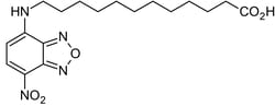 Abcam NBD-dodecanoic acid, Fatty acid ligand binding site probe, 100MG,