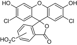 Abcam DCFA (5(6)-Carbo x y-2',7'-dichlorofluorescein), green fluorophore, 50MG