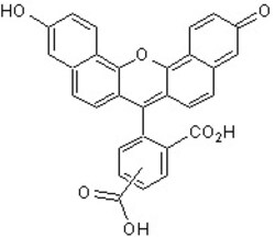 Abcam&nbsp;5(6)-Carbo x ynaphthofluorescein, 1MG