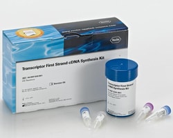 Roche Diagnostics TRANSCRIPTOR 1ST STRD CDNA KIT, Quantity: Each of 1