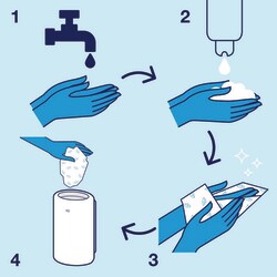 Tork Luxury Hand Washing Mini Foam Soap S5 Clear | Buy Online | Tork | Fisher Scientific