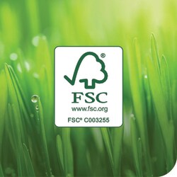 Tork Tork Extra-Starke Mehrzweck Reinigungstücher Weiß W4, 4 x 70 Tücher, 530180 Weiß | Buy Online | Tork | Fisher Scientific