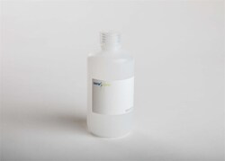 Seracare Life Sciences Inc&nbsp;10X TRIS-GLYCINE TRANS BUFFER