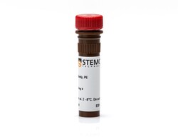 CD4 Mouse, anti-Human, PE, Clone: SK3, STEMCELL Technologies:Antibodies:Primary