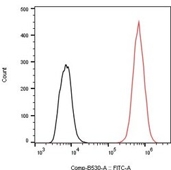 Genscript Corporation&nbsp;FITC-Protein L