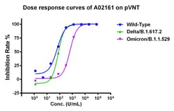 Genscript Corporation SARS-CoV-2 (Omicron) Neutralizing Antibody Standard,