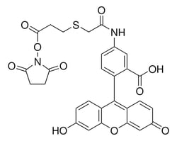Fluorescein-5-EX N-Hydroxysuccinimide Ester, Sigma-Aldrich