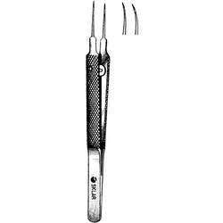 Sklar Instruments&nbsp;Forceps Sklar Microscopy Surgical   1/EA