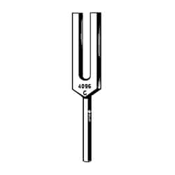 Sklar Instruments&nbsp;Tuning Fork Sklar Microscopy Surgical   1/EA