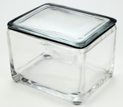 Newcomer Supply 20 Slide Staining Dish, Glass (Includes Lid with Gasket