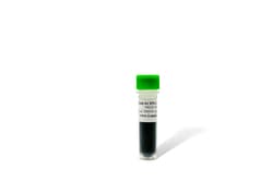 LAMDA BIOTECH INC PreSafeStain 6X DNA Load Dye
