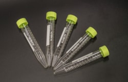 S BIO&nbsp;PrimeSurface 3D culture: Ultra-low Attachment 24 well flat bottom plate