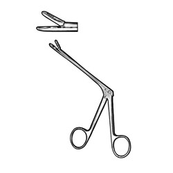 Sklar Instruments&nbsp;Forceps Sklar Microscopy Surgical   1/EA