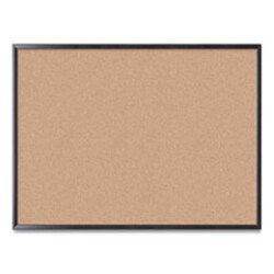 Enterprise Technology Solutions CORK BULLETIN BOARD 47 X 35