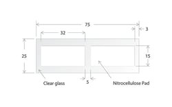 Electron Microscopy Sciences&nbsp;Oncyte Slide Avid, 2 well, 15 x 32 mm I.D.