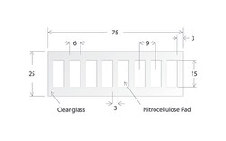 Electron Microscopy Sciences&nbsp;Oncyte Slide Avid, 8 well, 6 x 15 mm I.D.