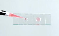 Electron Microscopy Sciences Disposable Liquid-Holding Slide Wells 0.50 thick