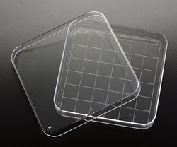 Electron Microscopy Sciences Square Petri Dish, Plain