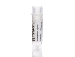 STEMCELL Technologies Mouse Pancreatic Organoids, Size: 1 Unit, Quantity: