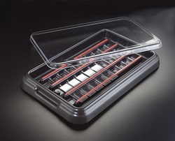 Electron Microscopy Sciences StainTray 20 Slide Staining Tray With Clear