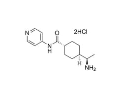 STEMCELL Technologies Y-27632 (Dihydrochloride) 5 mg:Protein Analysis Reagents,
