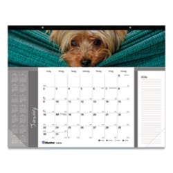 Enterprise Technology Solutions PETS COLLECTION MONTHLY DESK P