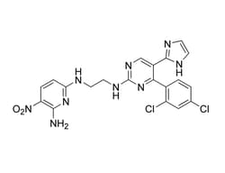 STEMCELL Technologies CHIR98014 10 mg | Buy Online | STEMCELL Technologies | Fisher Scientific