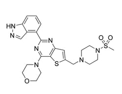 STEMCELL Technologies GDC-0941 10 mg | Buy Online | STEMCELL Technologies | Fisher Scientific