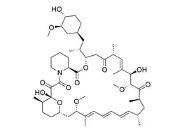STEMCELL Technologies Rapamycin, Size: 1 mg, Quantity: Each of 1