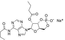 STEMCELL Technologies Dibutyryl-cAMP (Sodium Salt) 100 mg | Buy Online | STEMCELL Technologies | Fisher Scientific