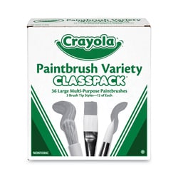 Enterprise Technology Solutions Large Variety Paint Brush Clas