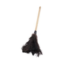 Enterprise Technology Solutions Professional Ostrich Feather Duster, 10"