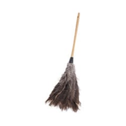Enterprise Technology Solutions Professional Ostrich Feather Duster, 16"