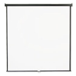 Enterprise Technology Solutions Wall Or Ceiling Projection Screen, 84 X