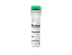 STEMCELL Technologies Human Recombinant IL-22 50 &mu;g | Buy Online | STEMCELL Technologies | Fisher Scientific