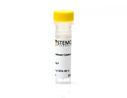 STEMCELL Technologies Human Recombinant M-CSF, Size: 10 µg, Quantity: Each