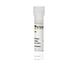 STEMCELL Technologies Recombinant B18R Protein 50 &mu;g | Buy Online | STEMCELL Technologies | Fisher Scientific
