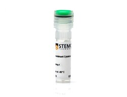 STEMCELL Technologies Mouse Recombinant SDF-1 alpha (CXCL12) 5 &mu;g:Proteínas