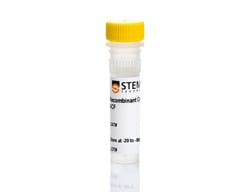 STEMCELL Technologies Human Recombinant bFGF, ACF 100 &mu;g | Buy Online | STEMCELL Technologies | Fisher Scientific