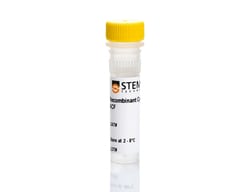 STEMCELL Technologies Human Recombinant TGF-beta 3, ACF 10 &mu;g | Buy Online | STEMCELL Technologies | Fisher Scientific
