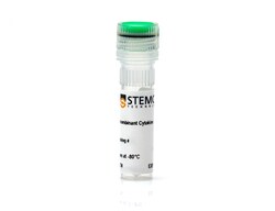 STEMCELL Technologies Human Recombinant EGFR 50 &mu;g | Buy Online | STEMCELL Technologies | Fisher Scientific