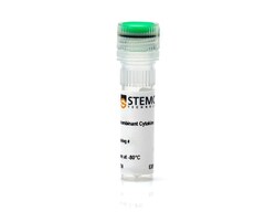 STEMCELL Technologies Human Recombinant IL-18 BPa 10 &mu;g | Buy Online | STEMCELL Technologies | Fisher Scientific