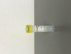 T4 GP32 Protein, Glycerol Free, G-Biosciences 1000 &mu;g | Buy Online | G-Biosciences | Fisher Scientific