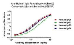 Genscript Corporation Mouse Anti-Human IgG Fc Antibody (50B4A9)[HRP], mAb,
