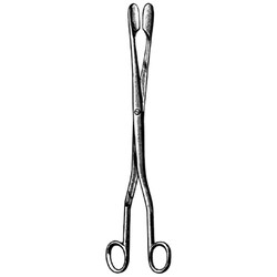 Sklar Instruments&nbsp;Forceps Sklar Microscopy Surgical   1/EA