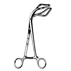 Sklar Instruments&nbsp;Forceps Sklar Microscopy Surgical   1/EA