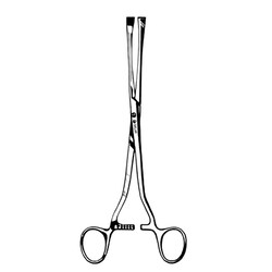Sklar Instruments&nbsp;Forceps Sklar Microscopy Surgical   1/EA