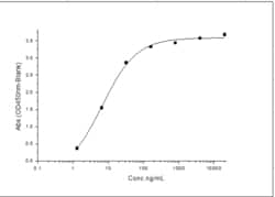 Sino Biological Recombinant Cynomolgus SIRP alpha/SHPS-1 Protein (His Tag)