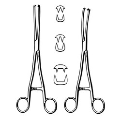 Sklar Instruments&nbsp;Forceps Sklar Microscopy Surgical   1/EA